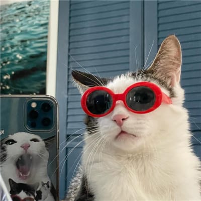Andi Wijaya avatar